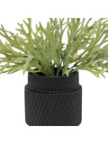 Gallery Home green faux platycerium ceramic plant pot 28cm, UK version