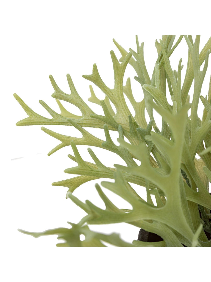 Gallery Home green faux platycerium ceramic plant pot 28cm, UK version