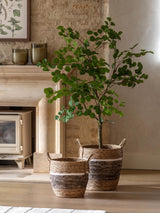 Next Gallery Home Green Faux Potted Eucalyptus Tree 150cm- Buy online at McGrocer