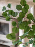 Gallery Home green faux potted eucalyptus tree 150cm, UK version