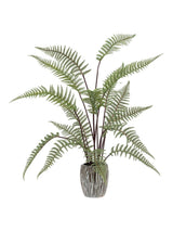 Next Gallery Home Grey Faux Fern Artificial Plant in Ceramic Pot, 91cm Tall- Buy online at McGrocer