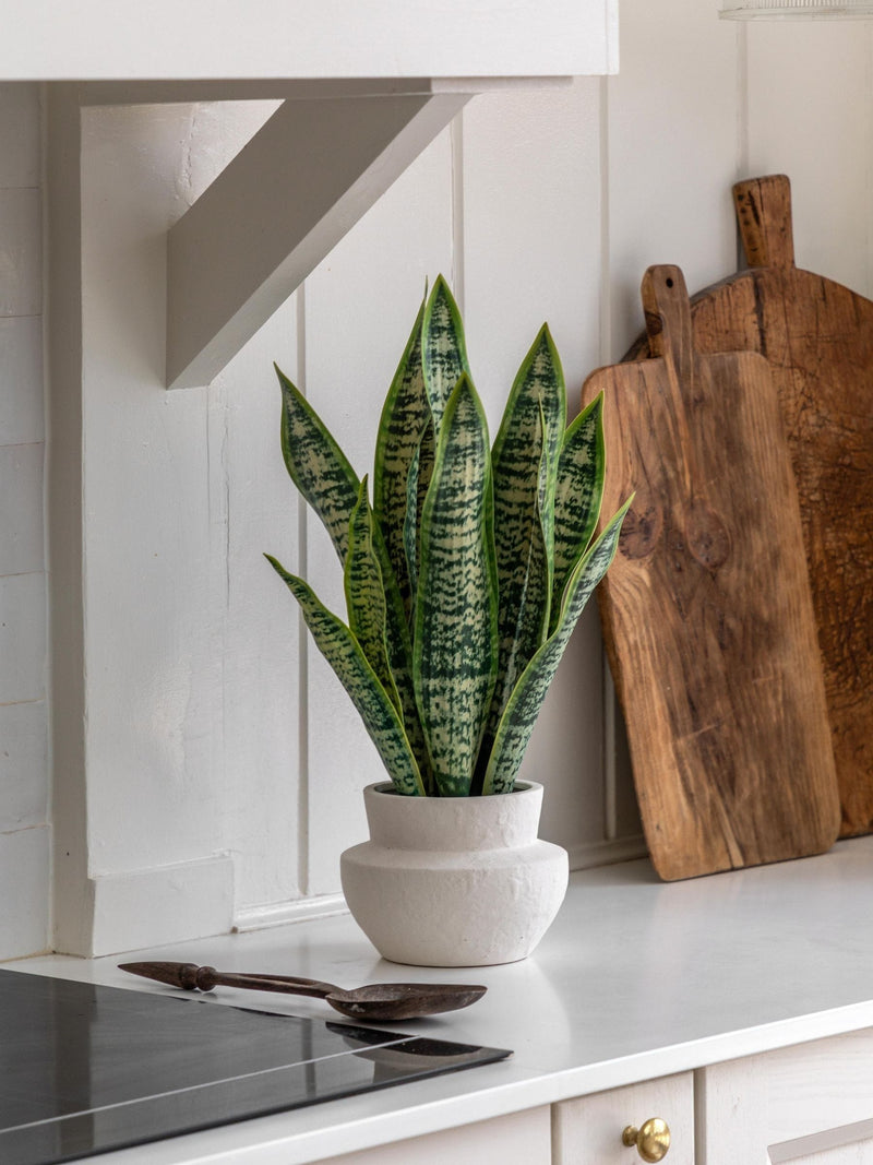 Gallery Home natural faux snake plant in ceramic pot 52cm tall, UK version