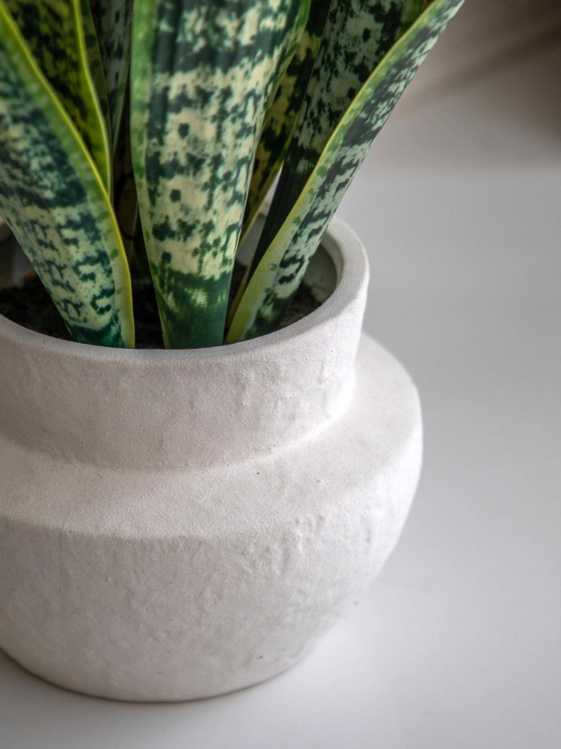 Gallery Home natural faux snake plant in ceramic pot 52cm tall, UK version