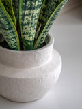 Gallery Home natural faux snake plant in ceramic pot 52cm tall, UK version
