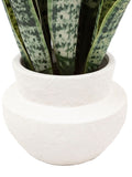 Gallery Home natural faux snake plant in ceramic pot 52cm tall, UK version