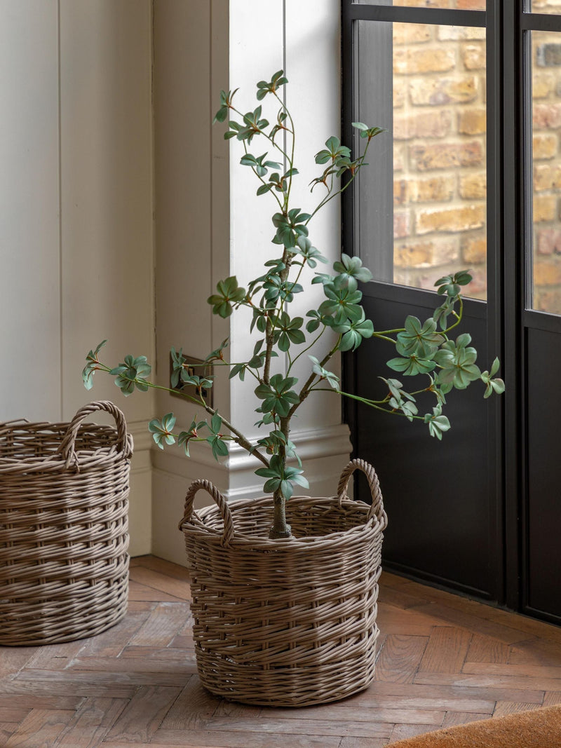 Gallery Home green faux potted rhodoleia 3ft tree, UK version