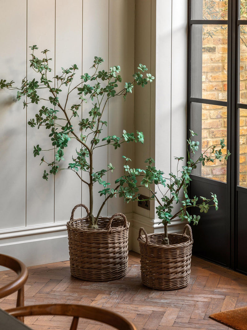 Gallery Home green faux potted rhodoleia 3ft tree, UK version