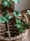 Gallery Home green faux potted rhodoleia 3ft tree, UK version