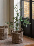 Gallery Home green faux potted rhodoleia 3ft tree, UK version