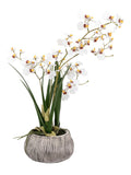 Gallery Home white faux orchid in ceramic pot, UK version