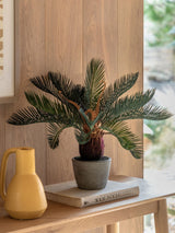 Next Gallery Home Natural Faux Wide Palm in Concrete Pot 49cm Indoor Plant- Buy online at McGrocer
