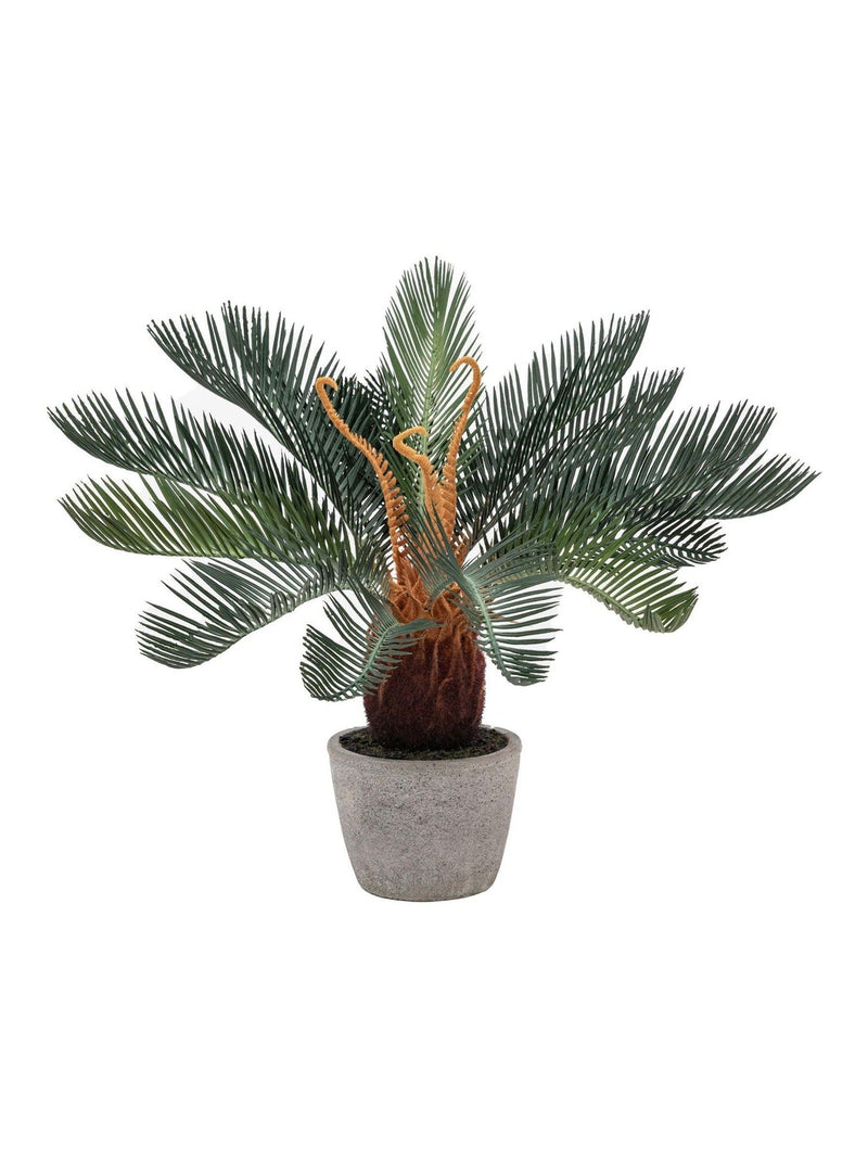 Gallery Home Natural Faux Wide Palm in Concrete Pot 49cm, UK version