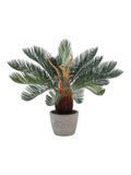Gallery Home Natural Faux Wide Palm in Concrete Pot 49cm, UK version