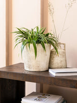 Next Garden Trading Stone Radstock Pot Ceramic Plant Pot 21cm x 23cm x 23cm- Buy online at McGrocer