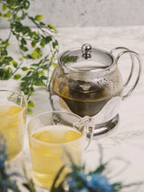 Next La Cafetiere Silver 2-Cup Glass Teapot with Infuser- Buy online at McGrocer