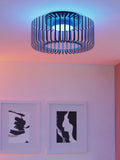 Eglo Black Ginestrone-Z Steel RGB ceiling light (British brand)