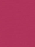 Graham & Brown Hot Pink Wallpaper Sample A4, UK version