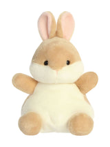 Next Aurora World Cuddles Pals Ella Bunny Medium Soft Toy 8in- Buy online at McGrocer