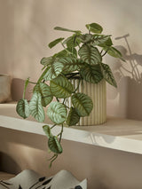 Next Green Artificial Trailing Plant in Myla Ribbed Pot- Buy online at McGrocer