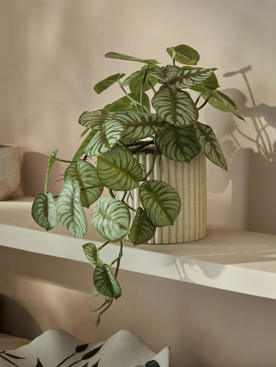Next Green Artificial Trailing Plant in Myla Ribbed Pot- Buy online at McGrocer