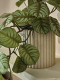 Faux green trailing plant in Myla ribbed pot, imported from the UK