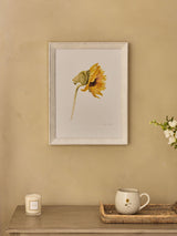 Next Sophie Allport Off White Sunflower Watercolour Print Wall Art 40cm x 30cm- Buy online at McGrocer