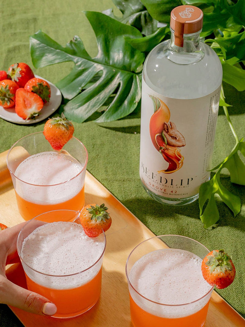 Seedlip Grove 42 non-alcoholic spirit - British product
