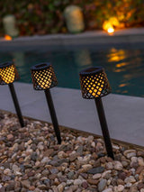 Next Gretita Black Solar Garden Spikes Set of 4- Buy online at McGrocer