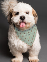 Next PMC Personalised Highland Cow Dog Bandana - Small to Medium- Buy online at McGrocer