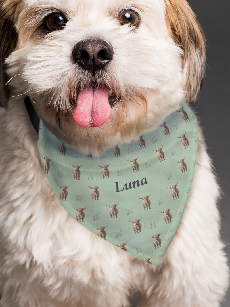 PMC personalised Highland cow dog bandana, UK version