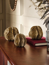 Next Antiqued Gold Seed Pod Ornaments Set of 3- Buy online at McGrocer