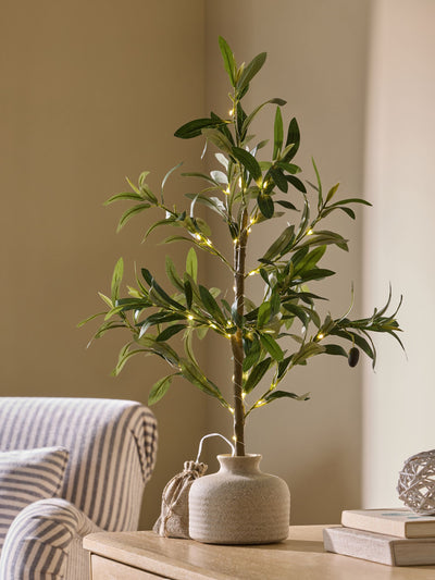 Next Pre-Lit Faux Olive Tree in Ceramic Pot 60cm- Buy online at McGrocer