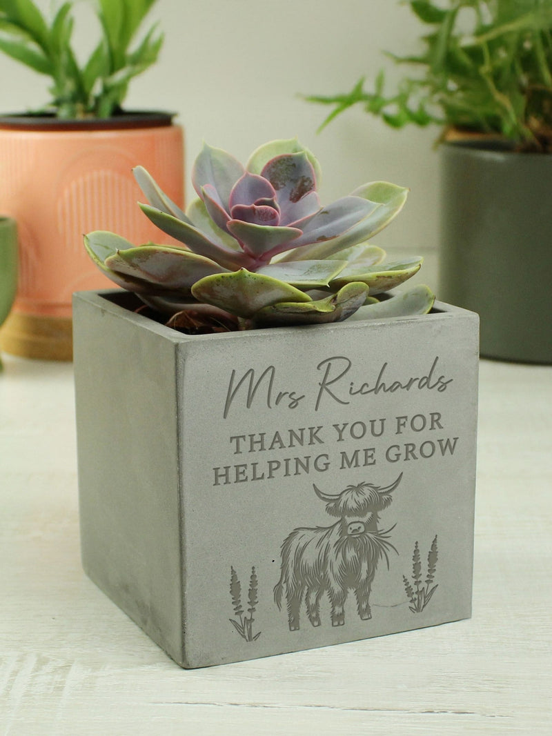 PMC Personalised Highland Cow Concrete Plant Pot, imported from the UK
