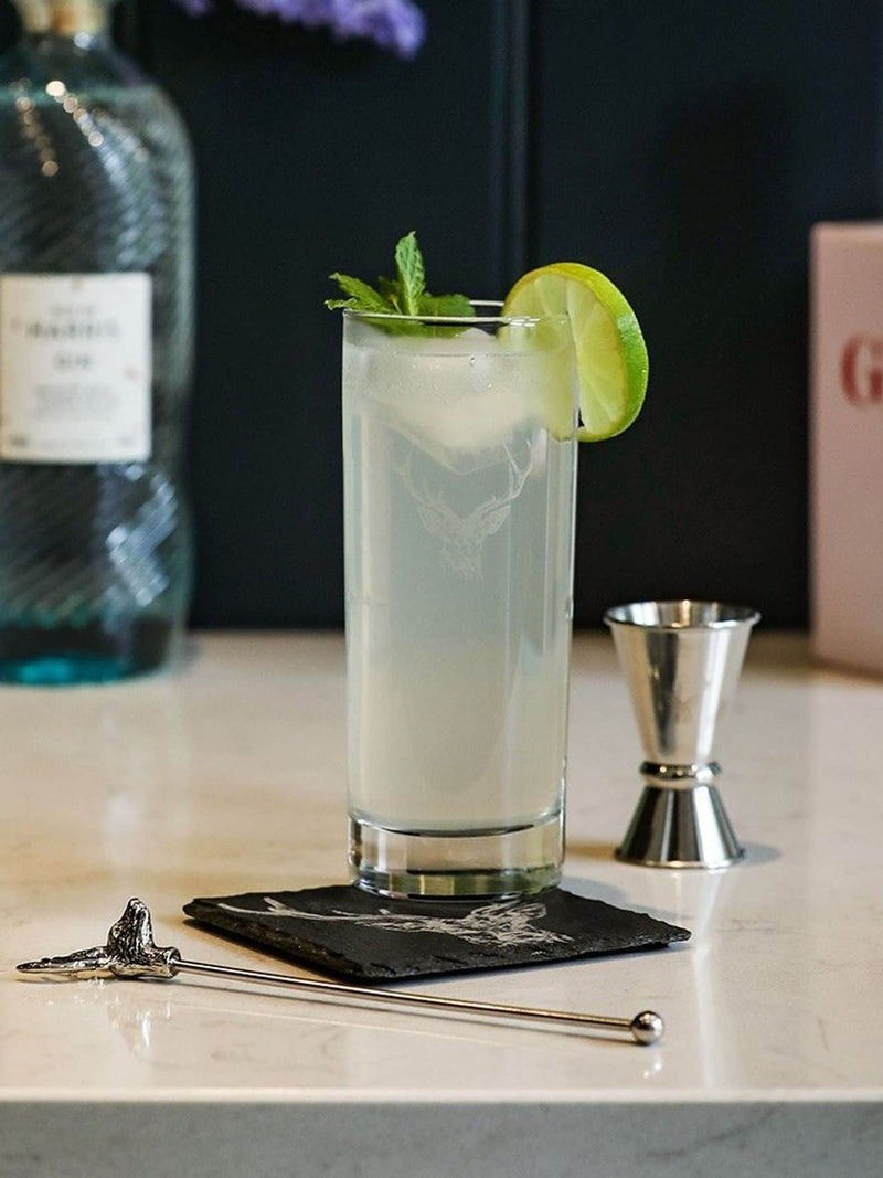 Selbrae House Clear Silver Stag Highball Drinks Set