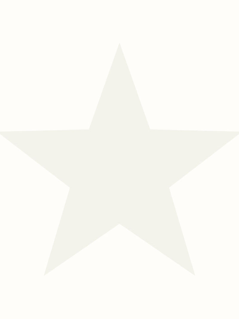 Style Sisters white single star wallpaper sample A4 (British brand)