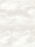Style Sisters beige cloud wallpaper sample A4 - British product