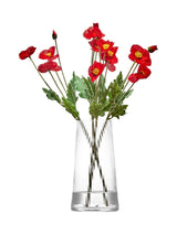 Next Anton Studio Designs Clear Large Empire Vase- Buy online at McGrocer