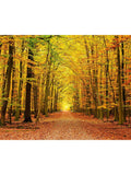 Origin Murals Autumn Forest wallpaper mural sample A3, UK version
