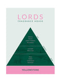Lords Yellowstone reed diffuser 200ml, UK version