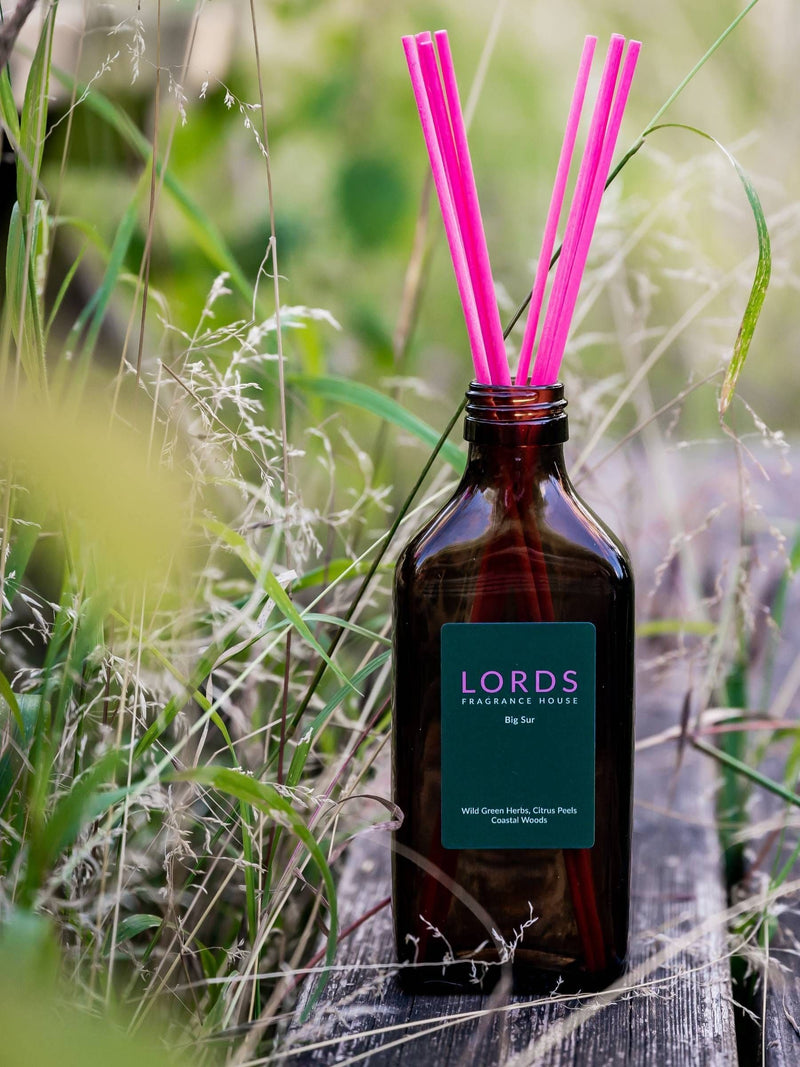 Lords Fragrance House Big Sur reed diffuser 200ml, UK version