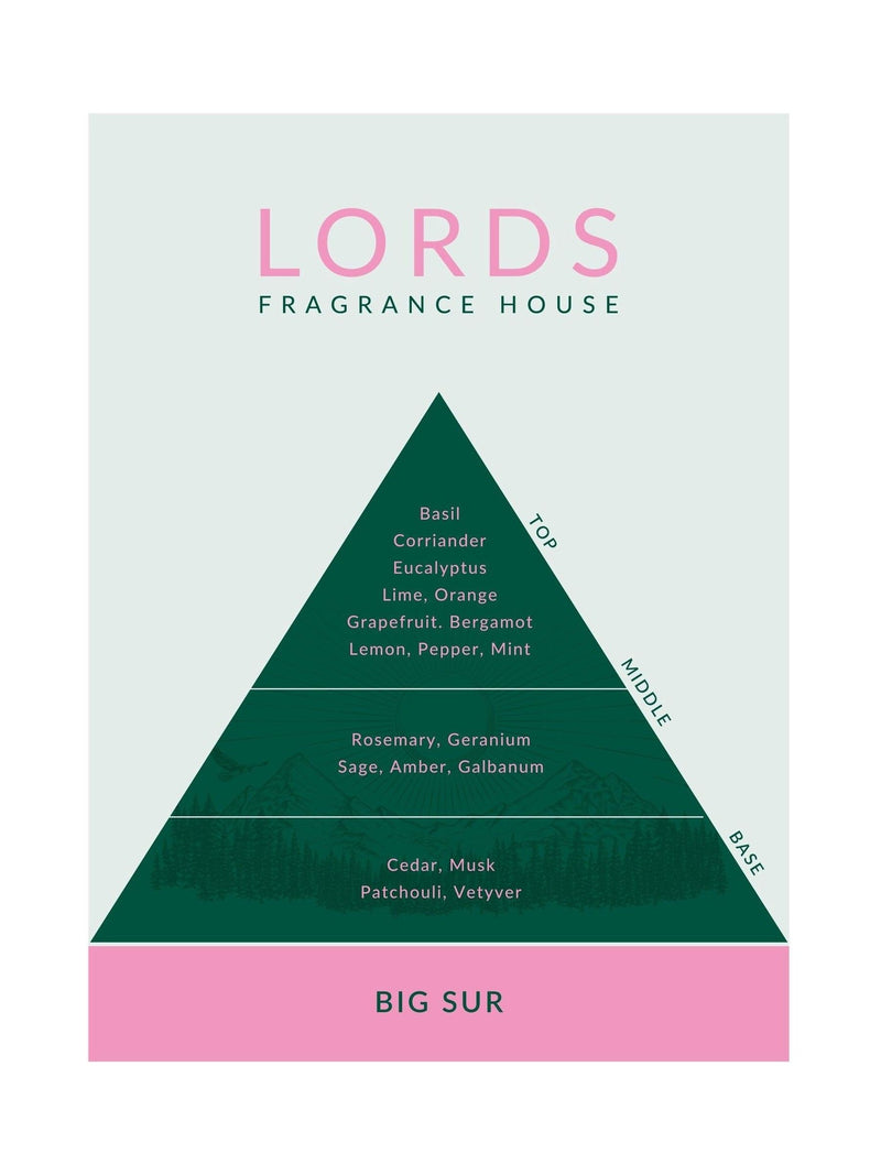 Lords Fragrance House Big Sur reed diffuser 200ml, UK version
