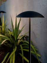 Next SolarCentre Set of 2 Warm White Millfield Solar Mushrooms Garden Lights- Buy online at McGrocer