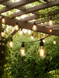SolarCentre warm white festoon lights set of 10, imported from the UK