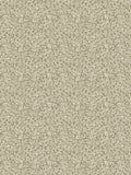 Laura Ashley Nutgrove A4 wallpaper sample, imported from the UK