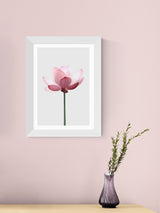 Next East End Prints White Lotus Wall Art Print by Sisi and Seb- Buy online at McGrocer