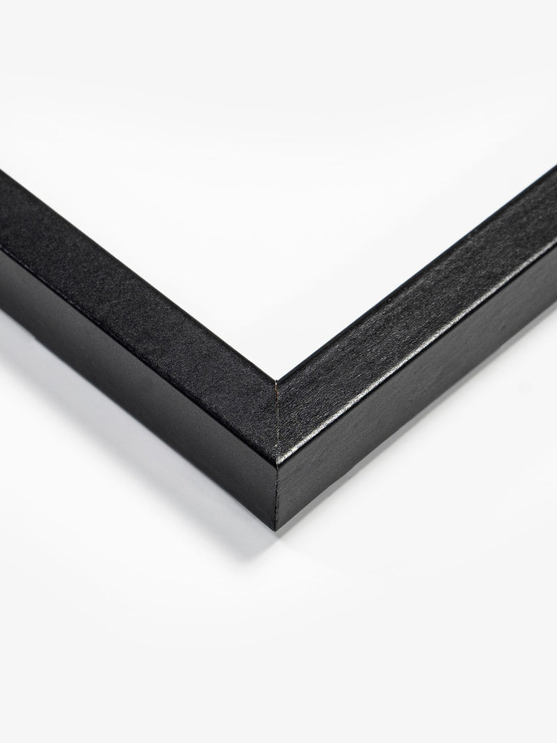 Artko Designs Black Bathroom Lion Framed Art - British product