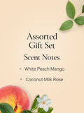 Victoria's Secret assorted mini mist set 4x75ml (British brand)