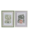 Decoris leaf wall art set with MDF frames - British product