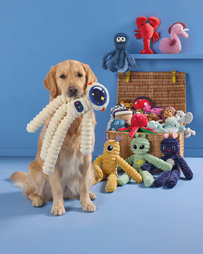 Jumbo dog toy with two squeakers 70cm - British product