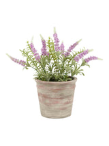Next Gallery Home Purple Potted Provence Lavender Artificial Potted Plant 30cm- Buy online at McGrocer